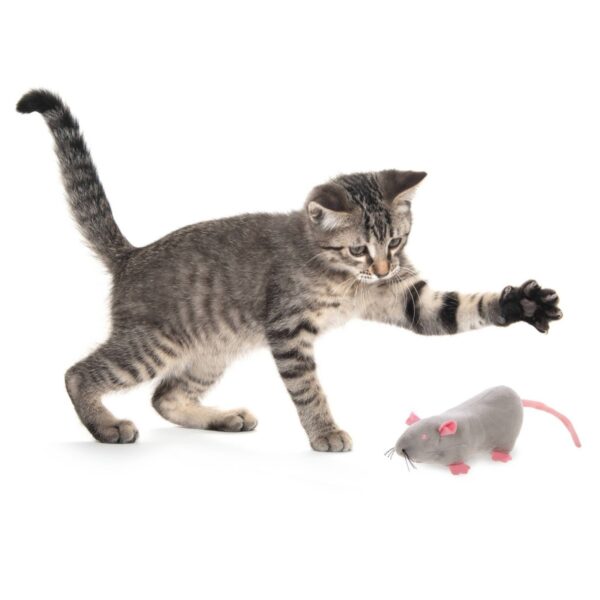 SmartyKat Rat Pack Kicker Cat Toy