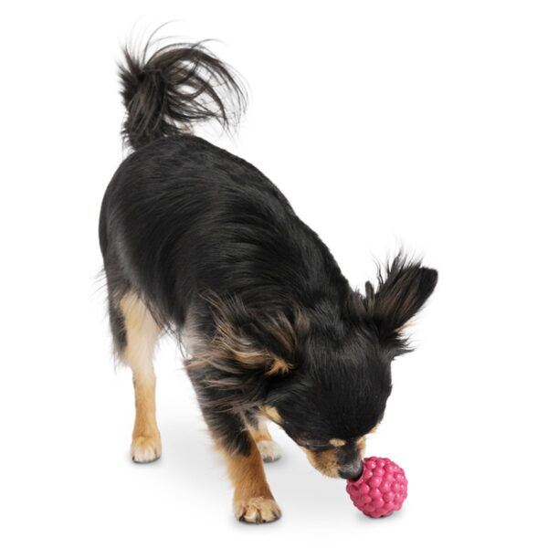 Planet Dog Orbee-Tuff Raspberry Dog Toy