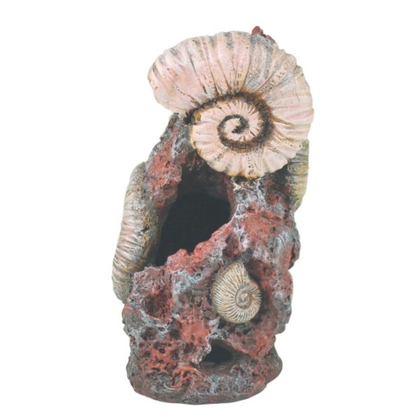 biOrb Ancient Conch Ornament Aquarium Sculptures - Brown