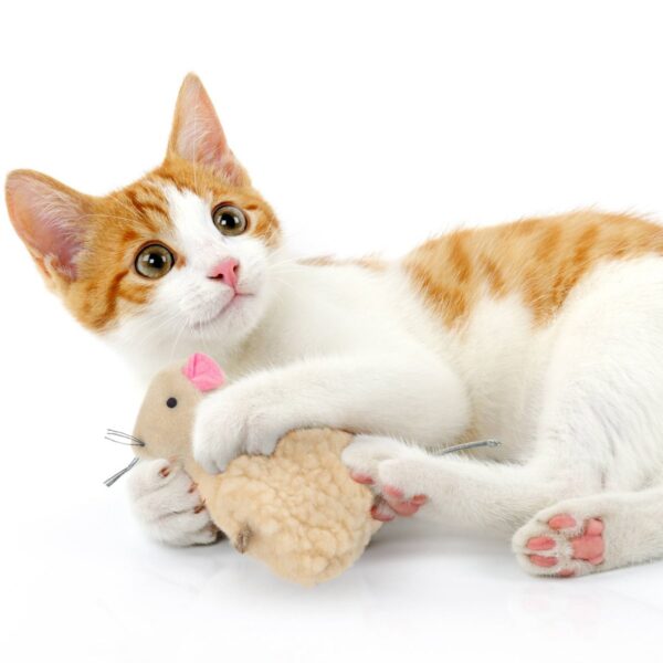 SmartyKat Madcap Mania Catnip Refillable Cat Toy