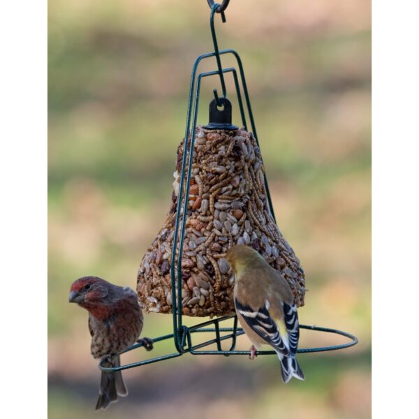 Home & Garden 9.5" Seed Bell Hanger Songbirds Bird Feed Mr Bird  -  Bird And Wildlife Food