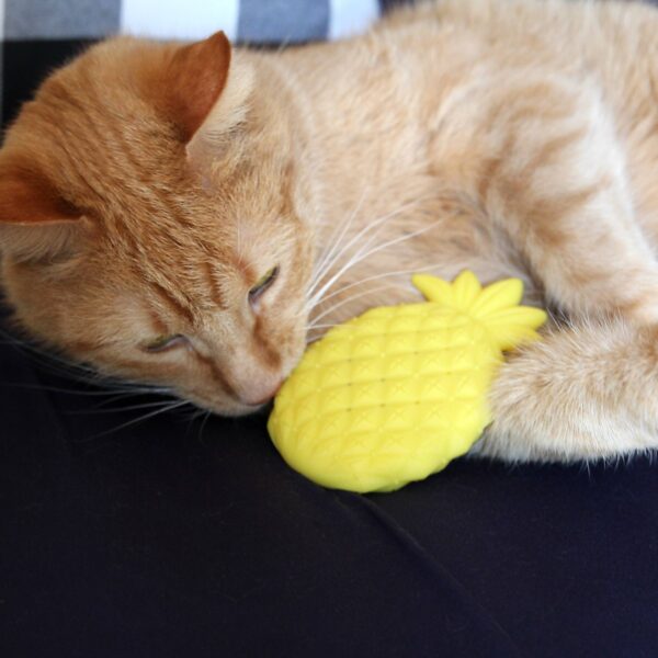 Pet Zone Boredom Busters Pineapple Dental Chew Cat Toy - Yellow