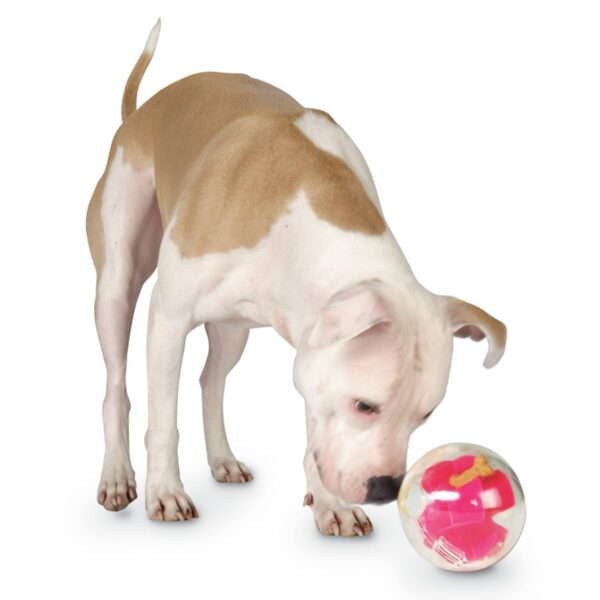 Planet Dog Orbee-Tuff Mazee Interactive Puzzle Ball Dog Toy - Pink