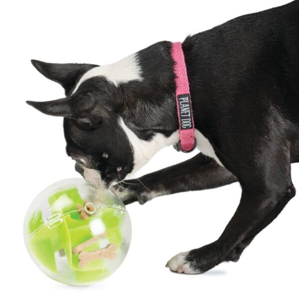 Planet Dog Orbee-Tuff Mazee Interactive Puzzle Ball Dog Toy - Green