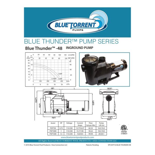 Blue Torrent AC PSP1056 1 HP Blue Thunder Single Speed 2 Inch Port Replacement Pump with On Off Switch and Standard Plug for Outdoor In Ground Pools