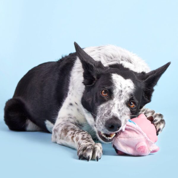 BARK Super Chewer Pig Dog Toy - Hambone