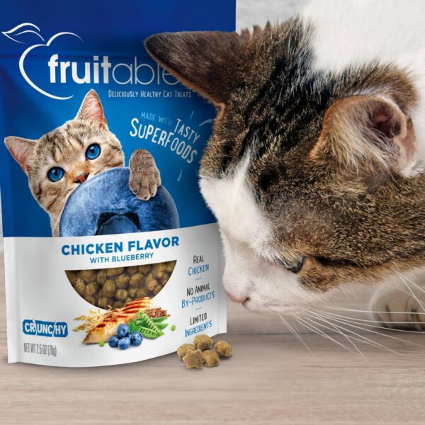Fruitables Healthy Low Calorie Chicken and Blueberry Crunchy Cat Treat - 2.5oz