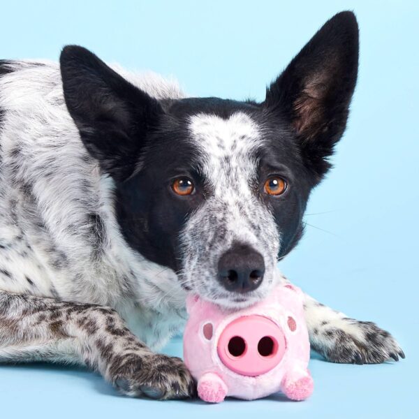 BARK Super Chewer Pig Dog Toy - Hambone