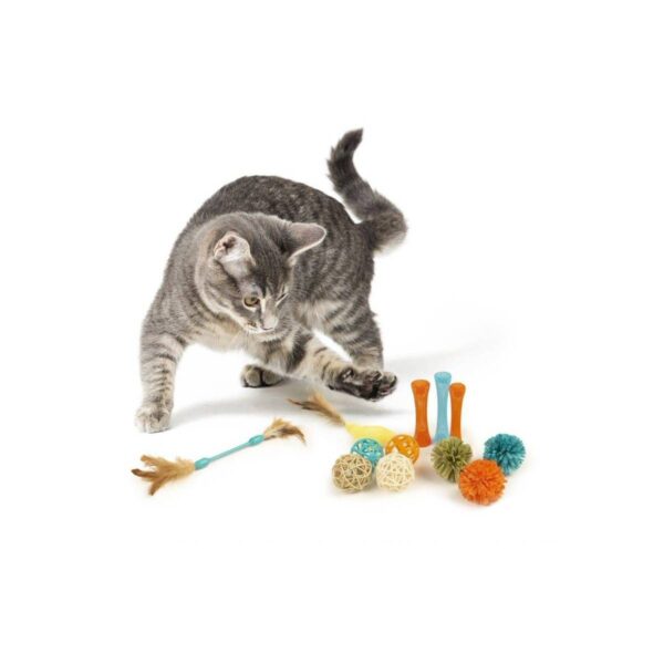 Petlinks Play Value Pack Cat Toy