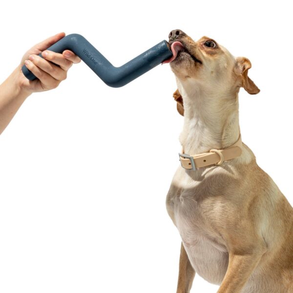 Wild One Bolt Bite Chew & Treat Toy for Dogs - Blue