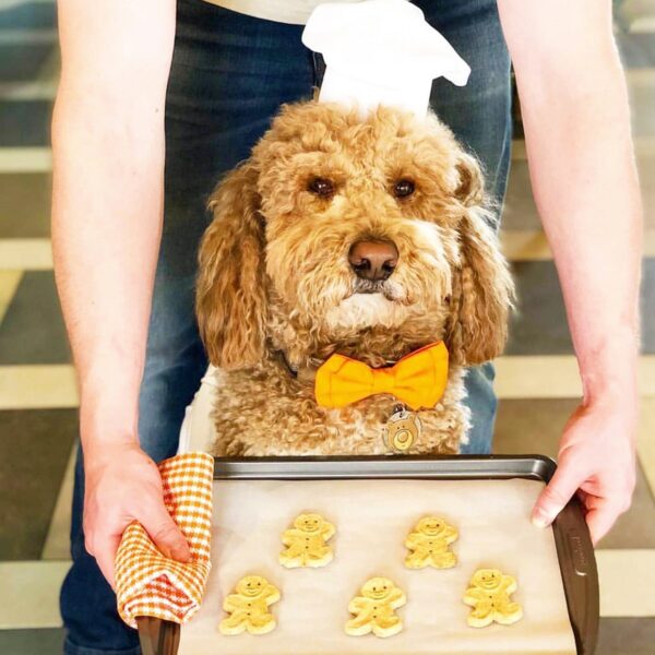 Buddy Biscuits Chicken Hip & Joint Chews Dog Treats - 5oz