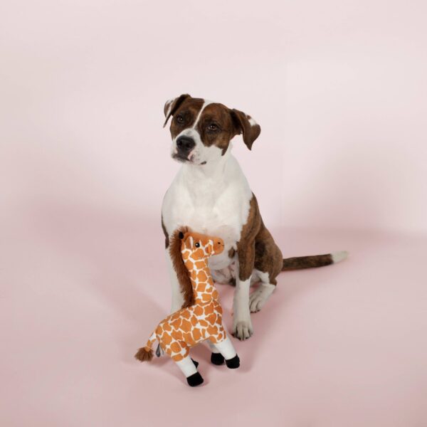 PetShop by Fringe Studio Giraffe Dog Toy