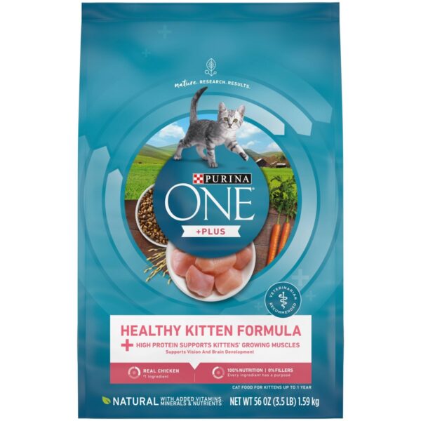 Purina ONE Healthy Kitten Formula Premium Dry Cat Food - 3.5lbs