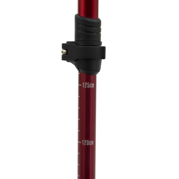 ALPS Mountaineering Conquest Trekking Pole