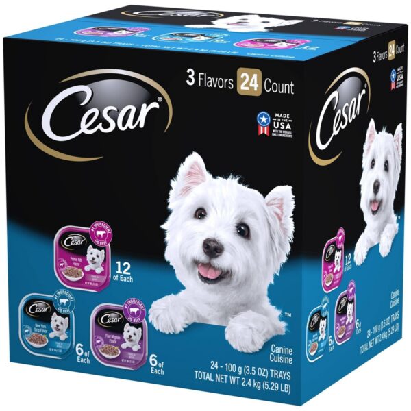 Cesar Filets In Gravy Wet Dog Food - 3.5oz/24ct Variety Pack