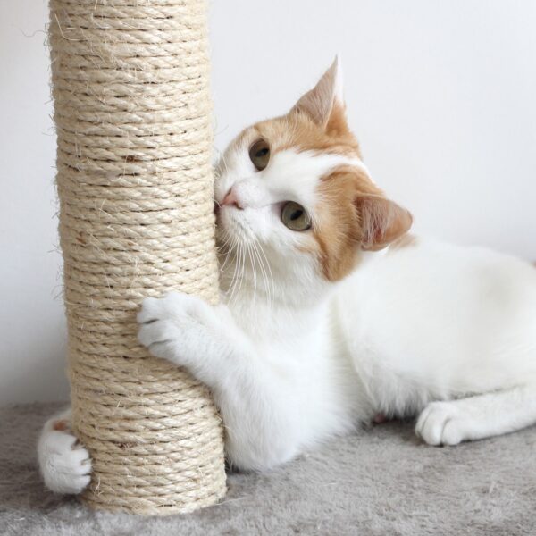 Pet Pal Cat 4-Tier Kitty Condo and Scratching Post