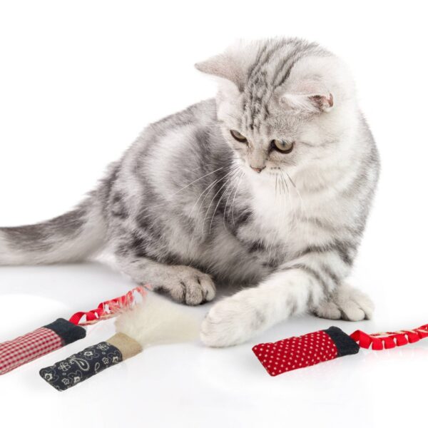 SmartyKat Silly Stix 100% Catnip Fire Crackers Cat Toy - 3pk