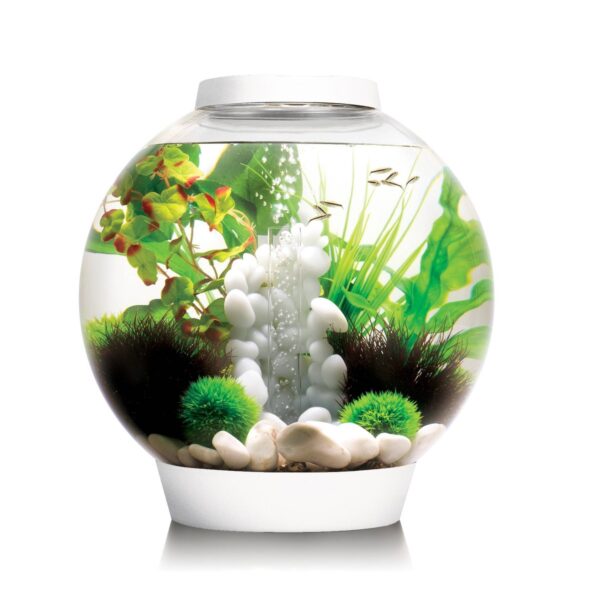 biOrb Classic/Flow 30 Bubble Tube for Aquariums