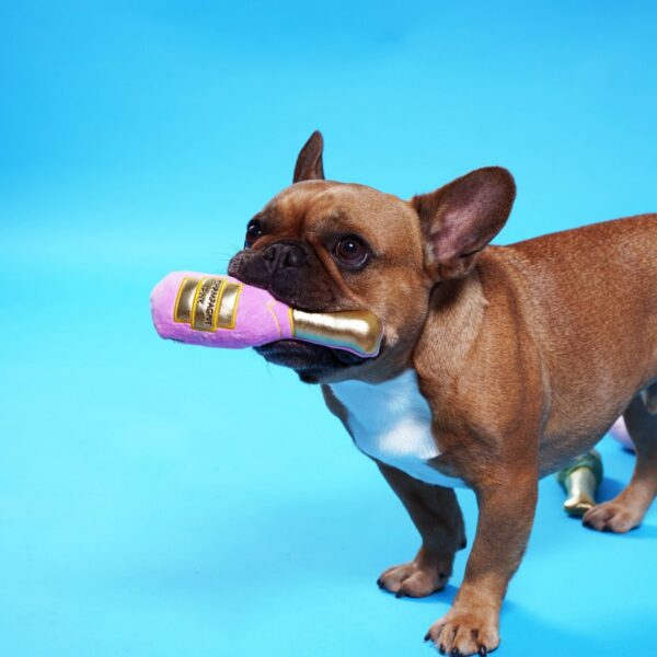 PetShop by Fringe Studio I Dont Give a Sip Mini Dog Toy Set - Pink - 4pk