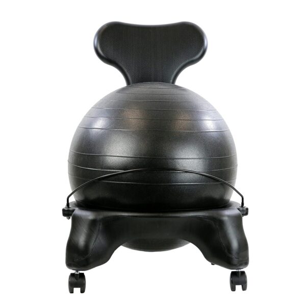 CanDo 30-1792 Ergonomic 20 Inch Plastic Exercise Ball Chair with Removable Back and Gliding Caster Wheels, Black