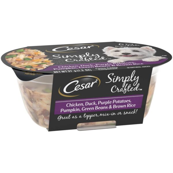 Cesar Simply Crafted Wet Dog Food with Chicken, Duck, Pumpkin, Potato & Green Beans - 1.3oz