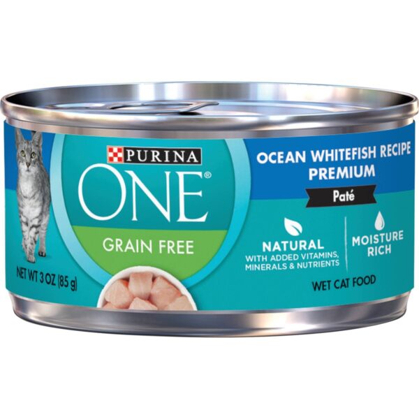 Purina ONE Grain-Free Ocean Wet Cat Food - 3oz