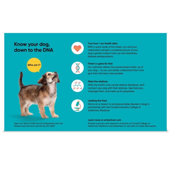 Embark Breed & Health Dog DNA Test