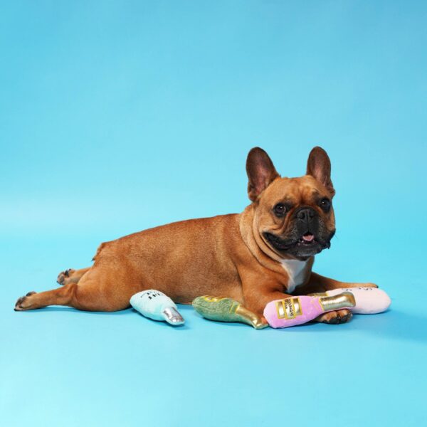 PetShop by Fringe Studio I Dont Give a Sip Mini Dog Toy Set - Pink - 4pk