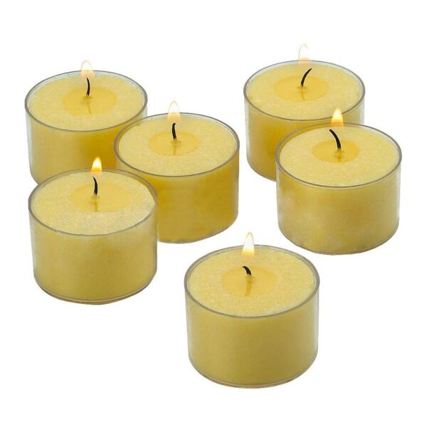 Light In The Dark Ivory Tealight Candles with Clear Cups (Set of 72)