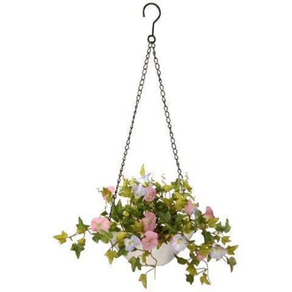 National Tree Company 9 in. Morning Glory Plant Hanging Basket