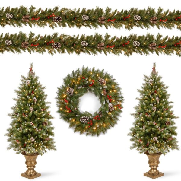 National Tree Company Frosted Berry Assortment Two 4 ft. Entrance Trees with Clear Lights and 24 in. Wreath with Warm White Light