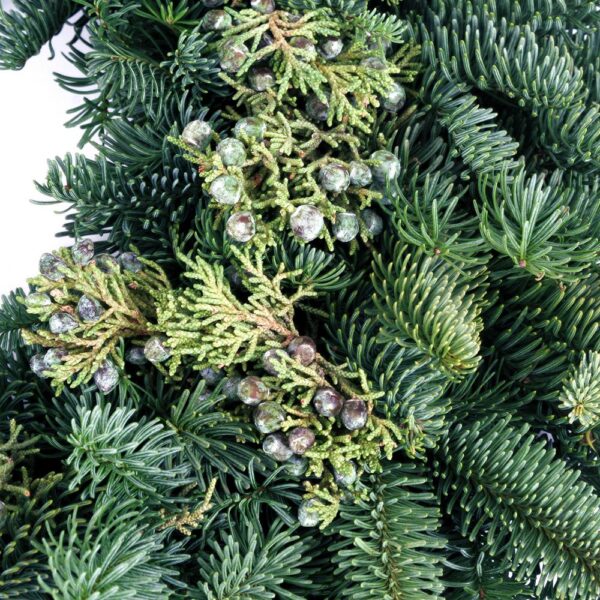 VAN ZYVERDEN 20 in. Live Fresh Cut Pacific Northwest Juniper Christmas Wreath