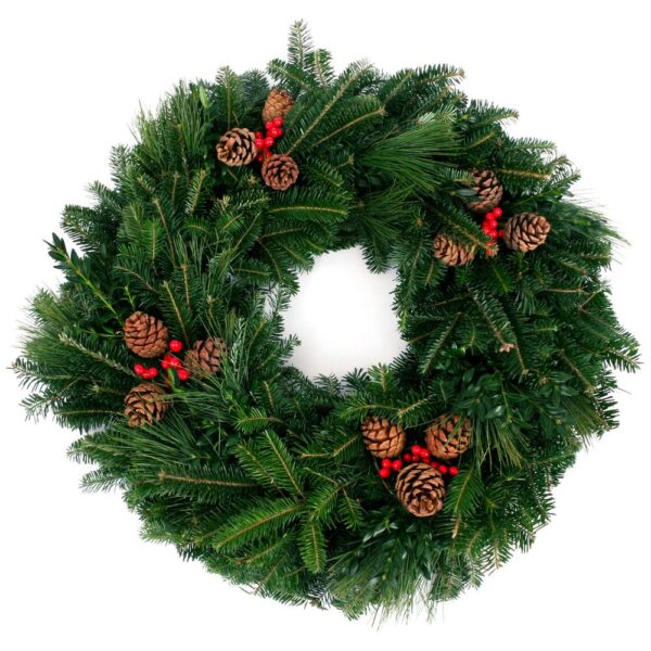 VAN ZYVERDEN 24 in. Live Fresh Cut Blue Ridge Mountain Mixed Christmas Wreath with Cones and Berries
