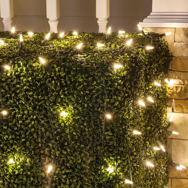 Wintergreen Lighting 48 in. x 72 in. 100-Light M5 LED Warm White Net Light Set