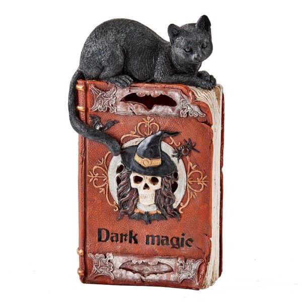 Worth Imports 12 in. Halloween Light Up LED Black Cat on Spell Book