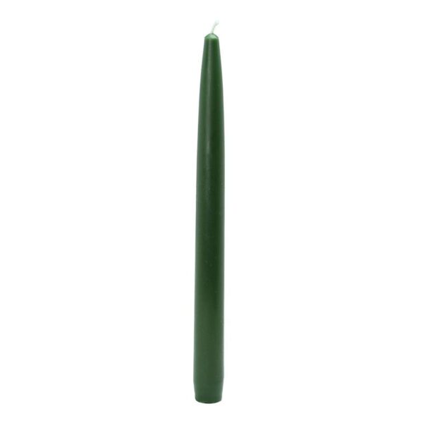 Zest Candle 10 in. Hunter Green Taper Candles (12-Set)