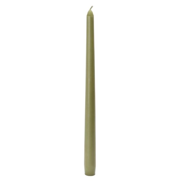 Zest Candle 12 in. Sage Green Taper Candles (12-Set)