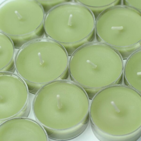 Zest Candle 1.5 in. Sage Green Tealight Candles (50-Pack)